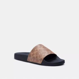 Pool Slide in Signature Canvas
