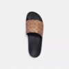Pool Slide in Signature Canvas