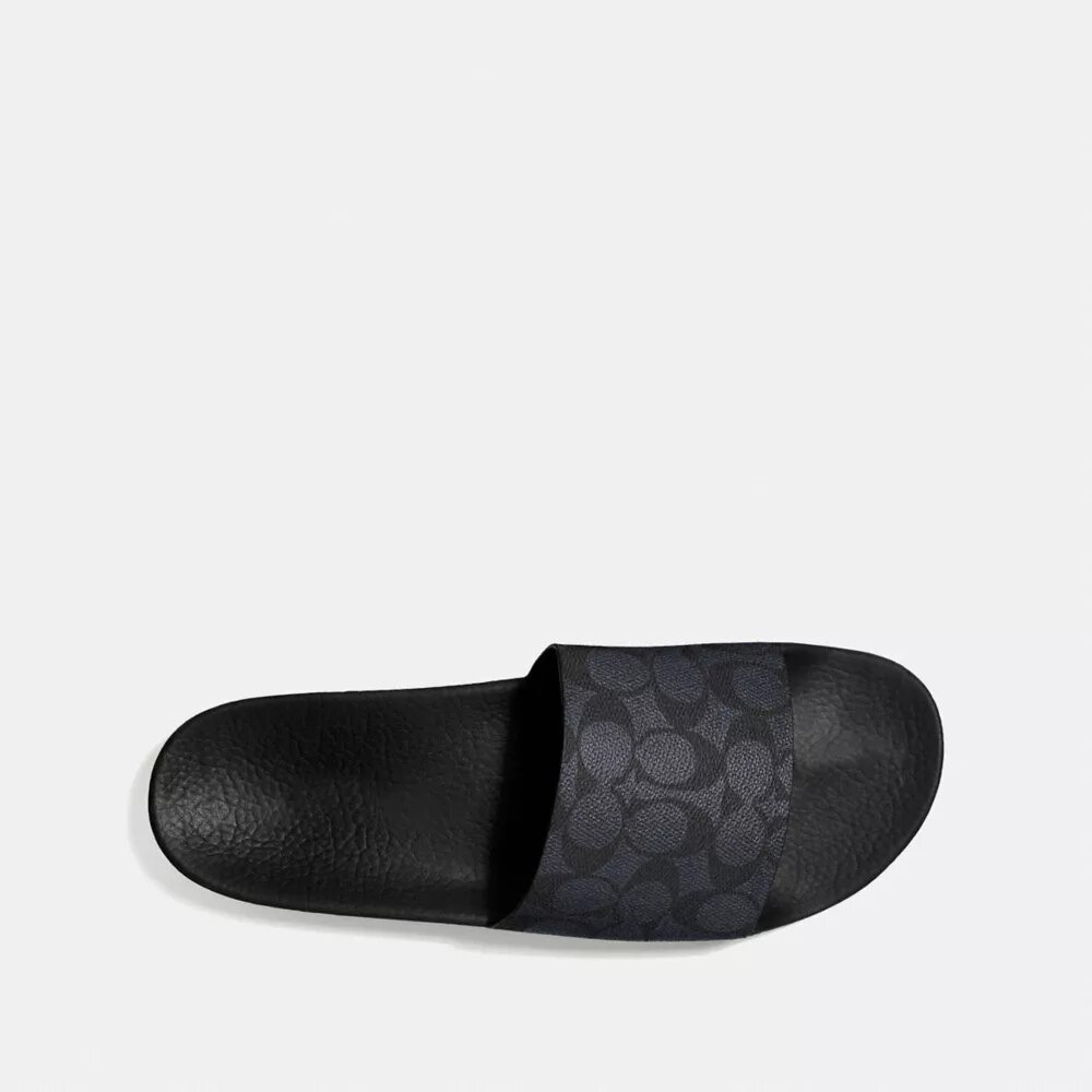 Pool Slide in Signature Canvas