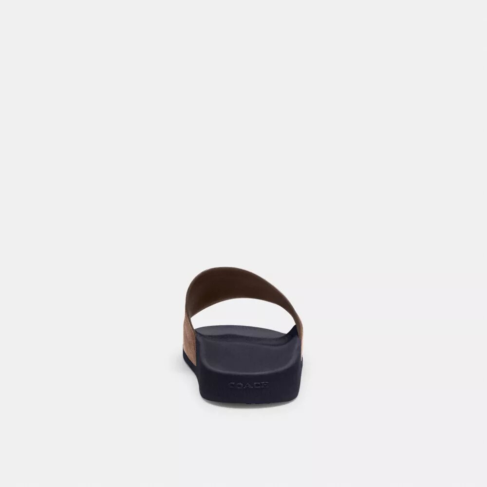 Pool Slide in Signature Canvas