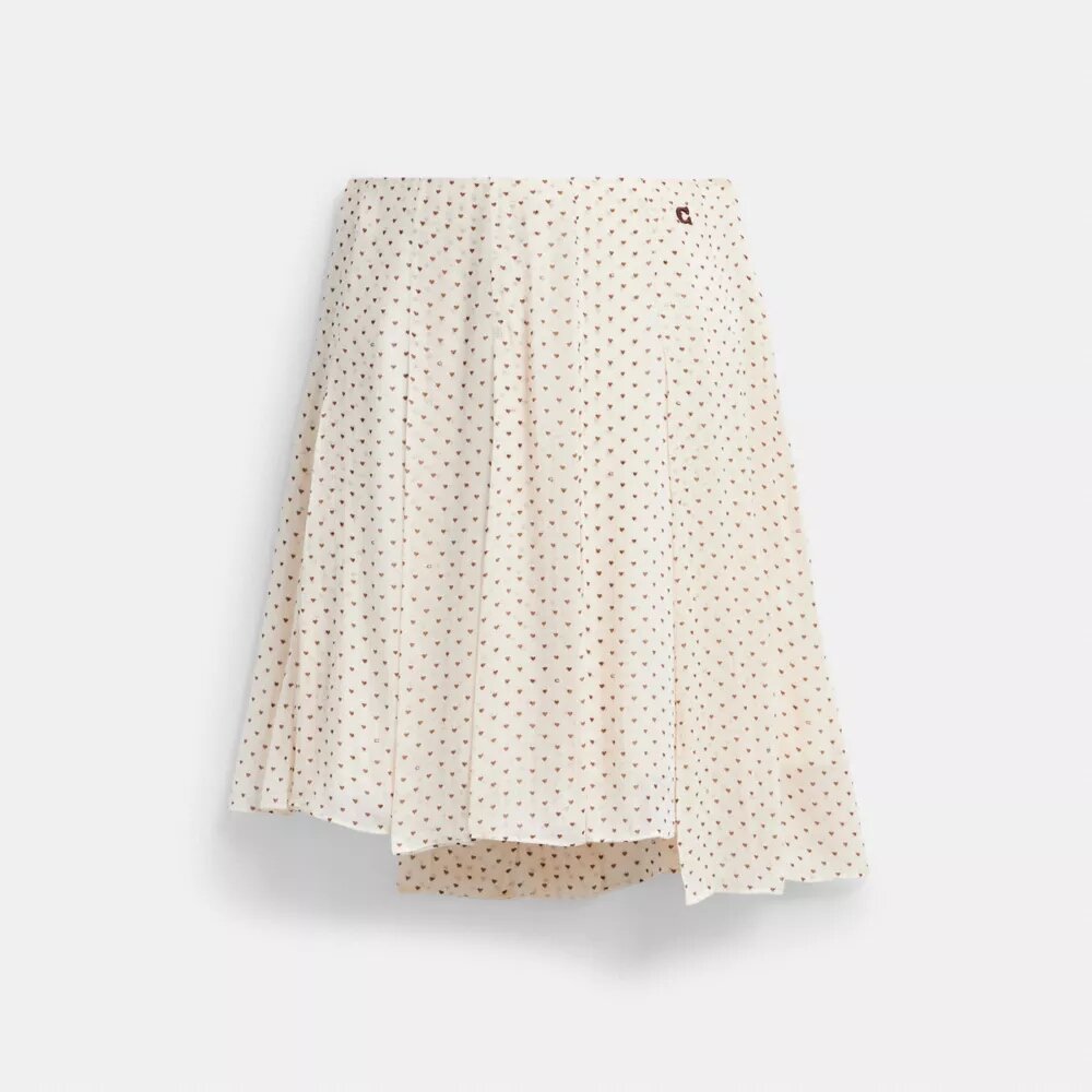 Printed Asymmetrical Pleated Skirt