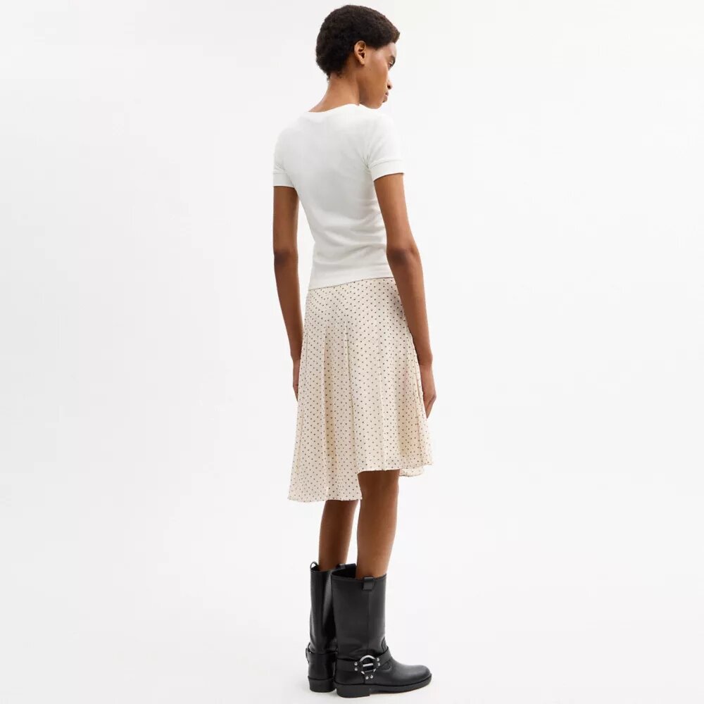 Printed Asymmetrical Pleated Skirt