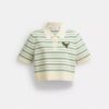 Rexy 10Th Birthday Polo
