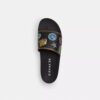 Rexy 10Th Birthday Pool Slide with Sticker Print