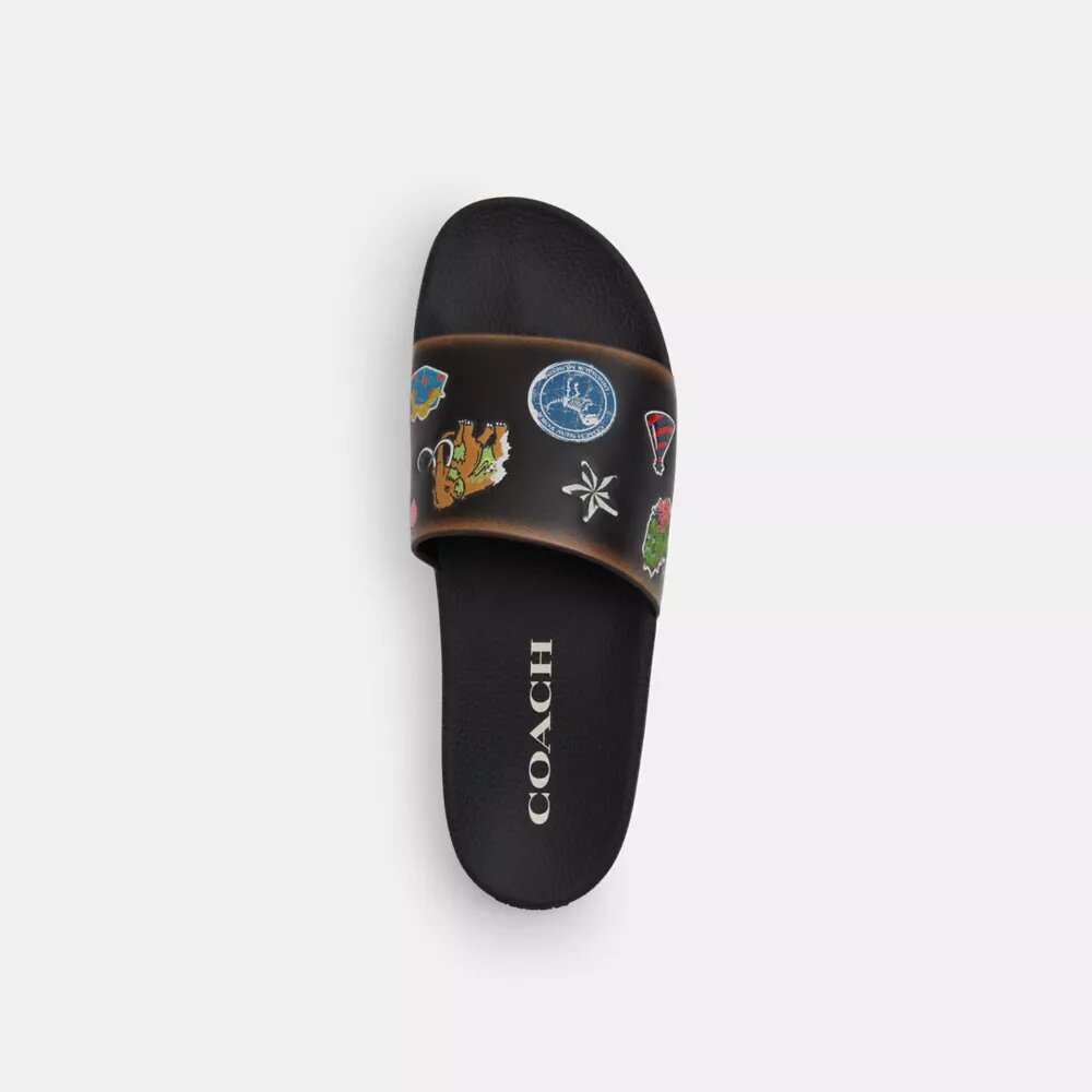 Rexy 10Th Birthday Pool Slide with Sticker Print