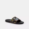 Rexy 10Th Birthday Udele Slide with Sticker Print