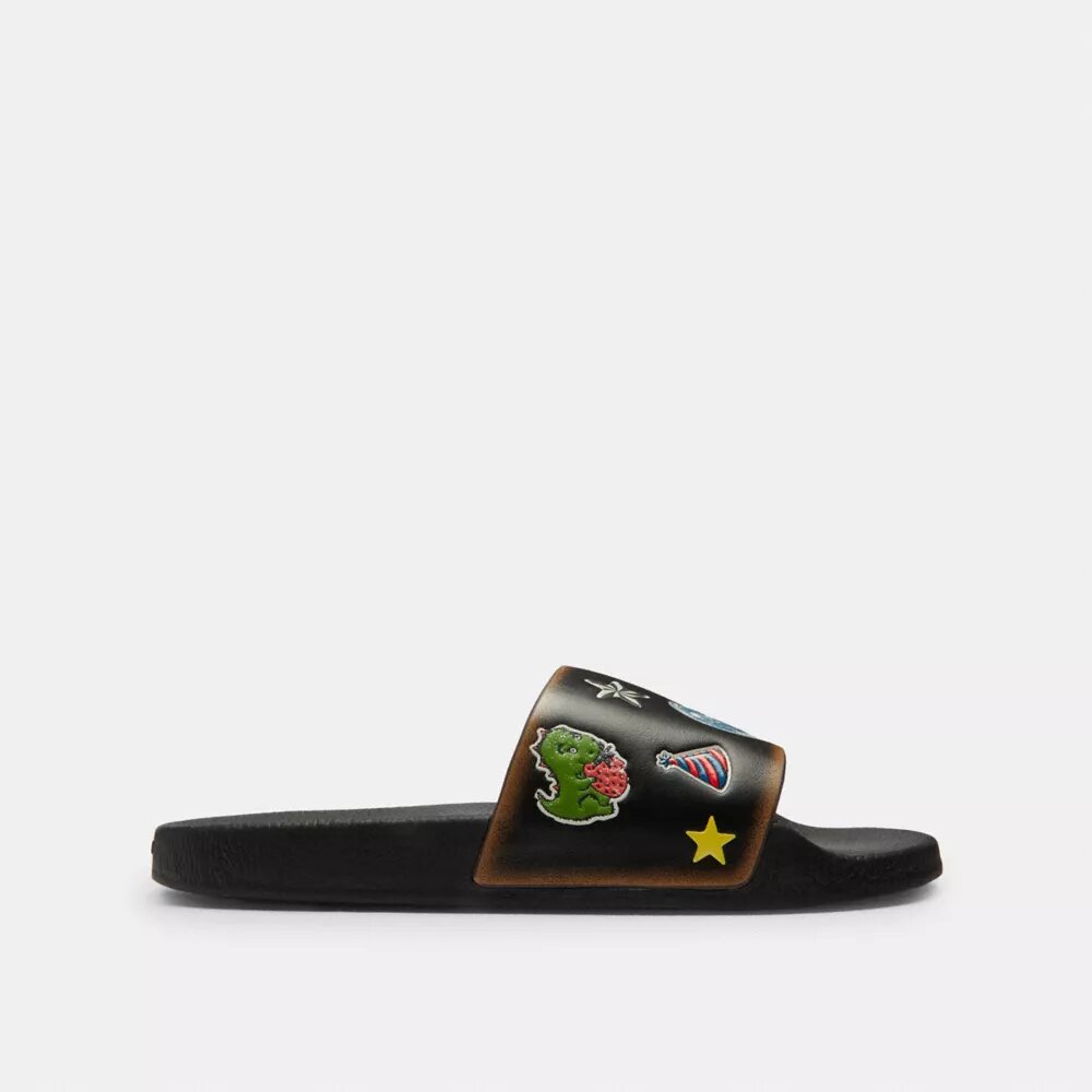 Rexy 10Th Birthday Udele Slide with Sticker Print