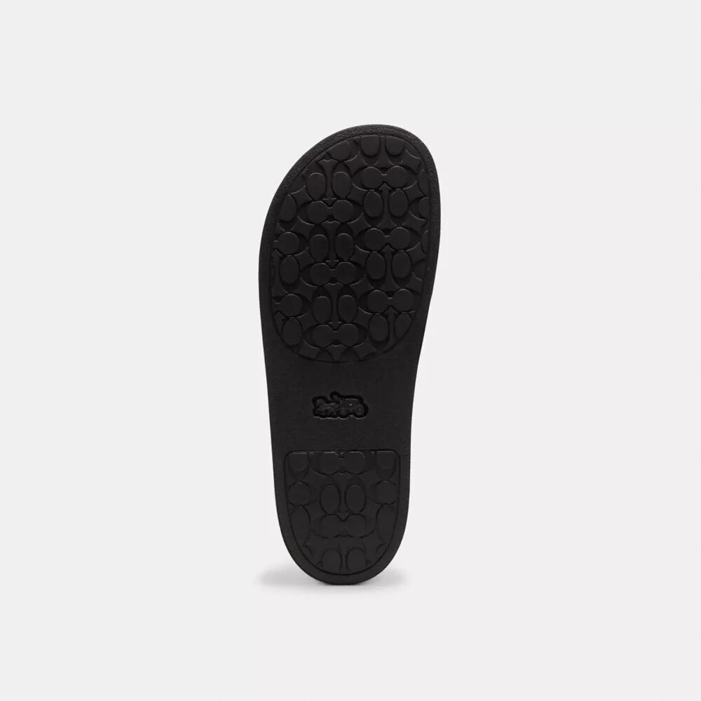 Rexy 10Th Birthday Udele Slide with Sticker Print