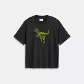Rexy Relaxed Fit T-Shirt in Organic Cotton