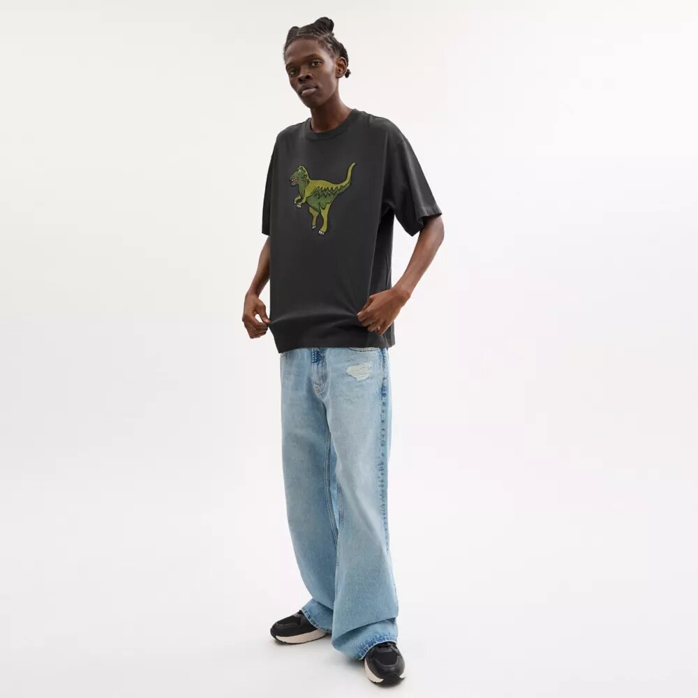Rexy Relaxed Fit T-Shirt in Organic Cotton