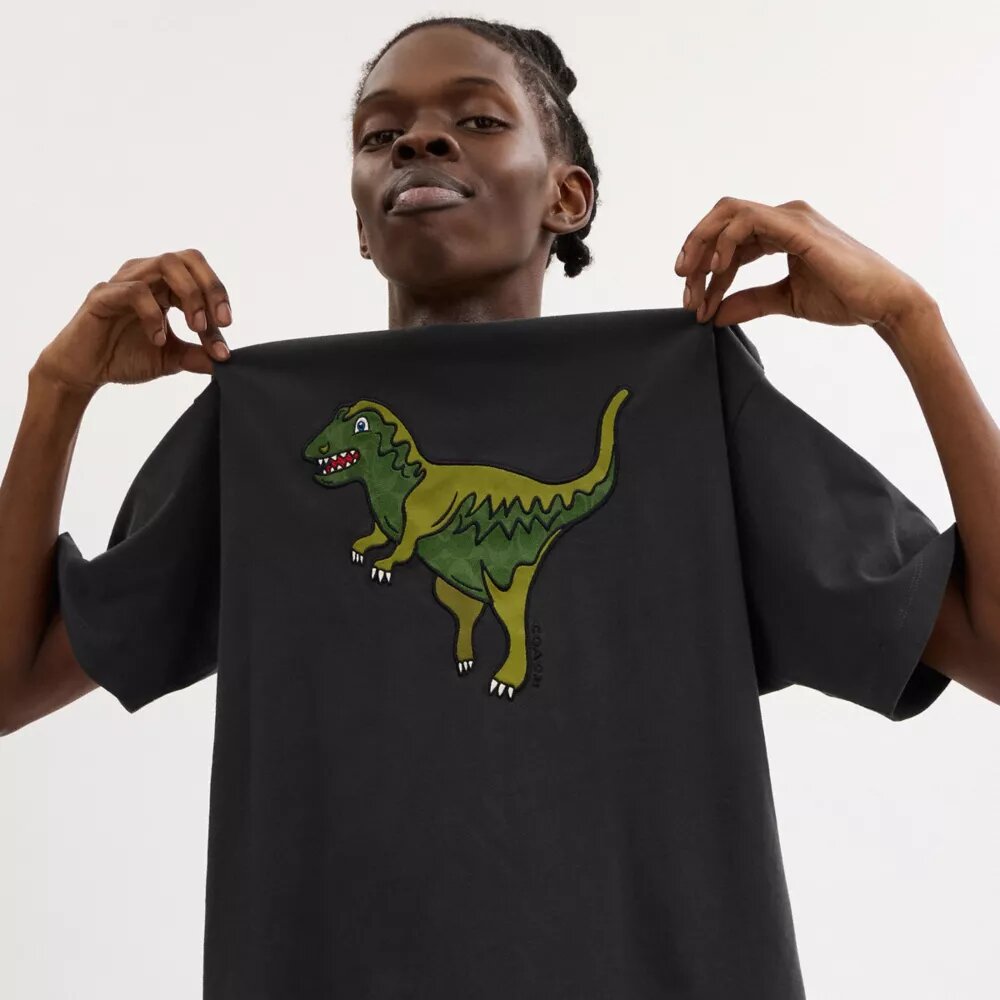 Rexy Relaxed Fit T-Shirt in Organic Cotton