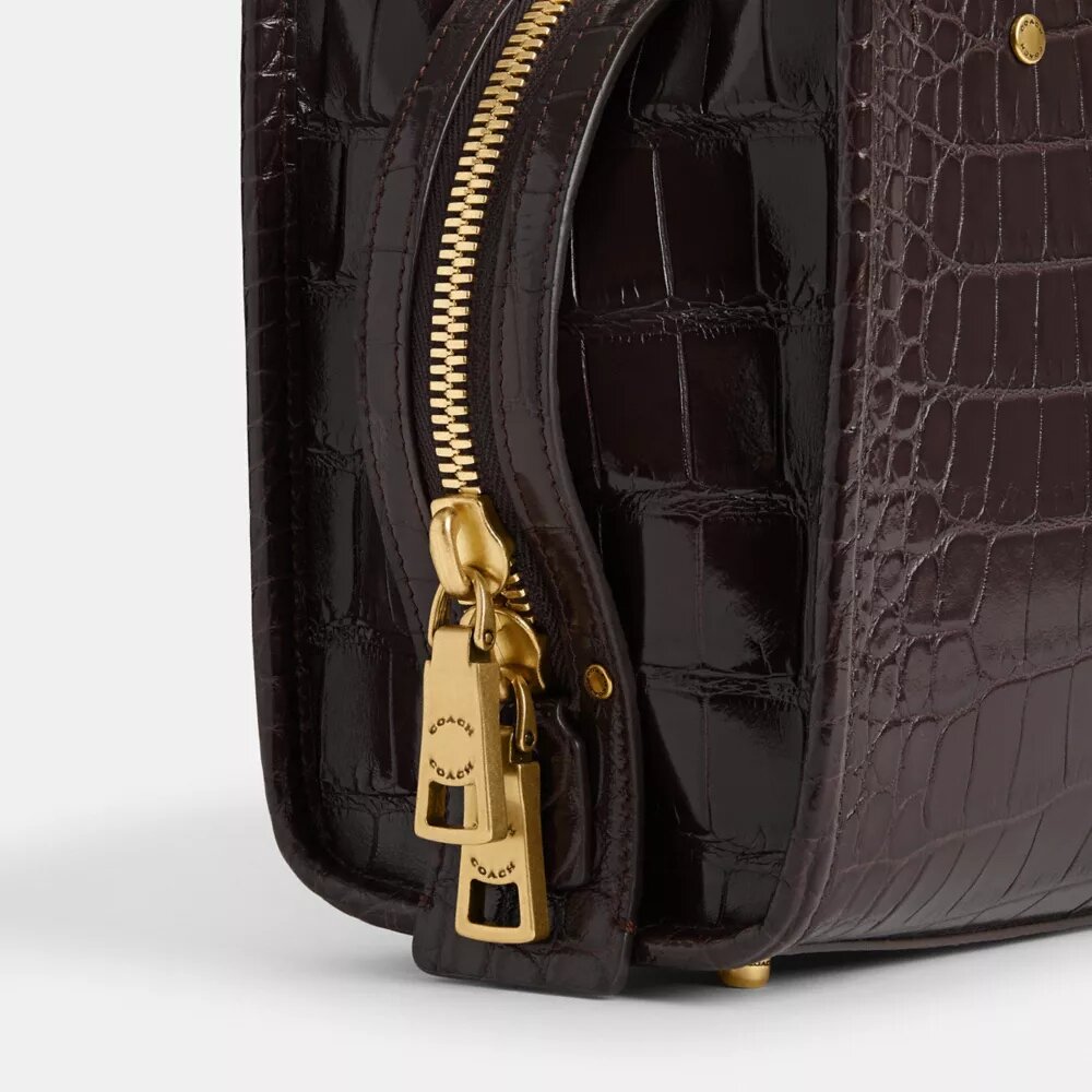 Rogue 20 in Alligator