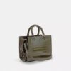 Rogue Bag 25 in Alligator