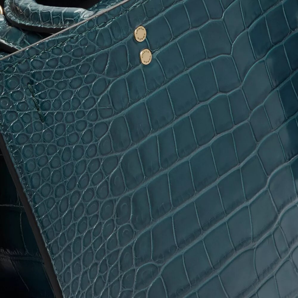 Rogue Bag in Alligator