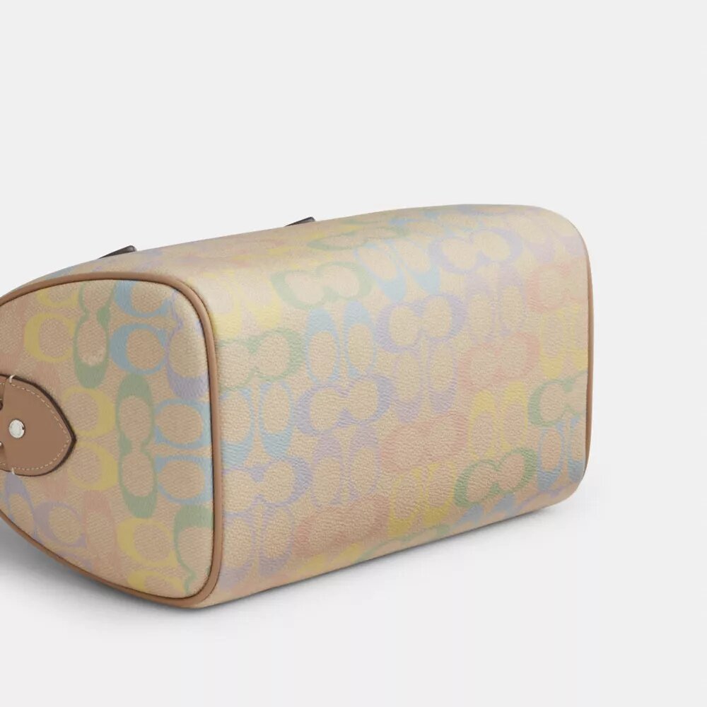 Rowan Satchel Bag in Rainbow Signature Canvas