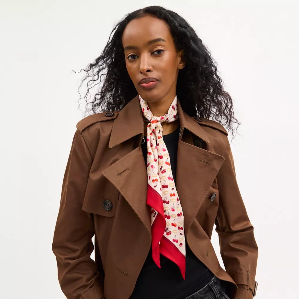 Sculpted C Cherries Print Silk Wide Skinny Scarf