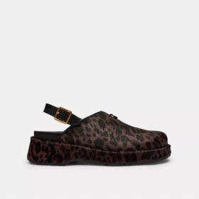 Sculpted C Platform Clog with Leopard Print
