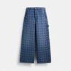 Signature Denim Carpenter Pants in Organic Cotton