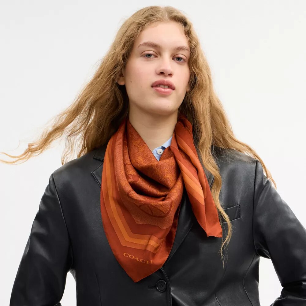 Signature Horse and Carriage Print Silk Square Scarf