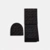 Signature Metallic Beanie and Muffler Gift Set