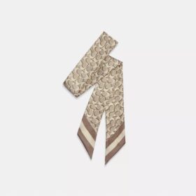 Signature Print Silk Skinny Scarf