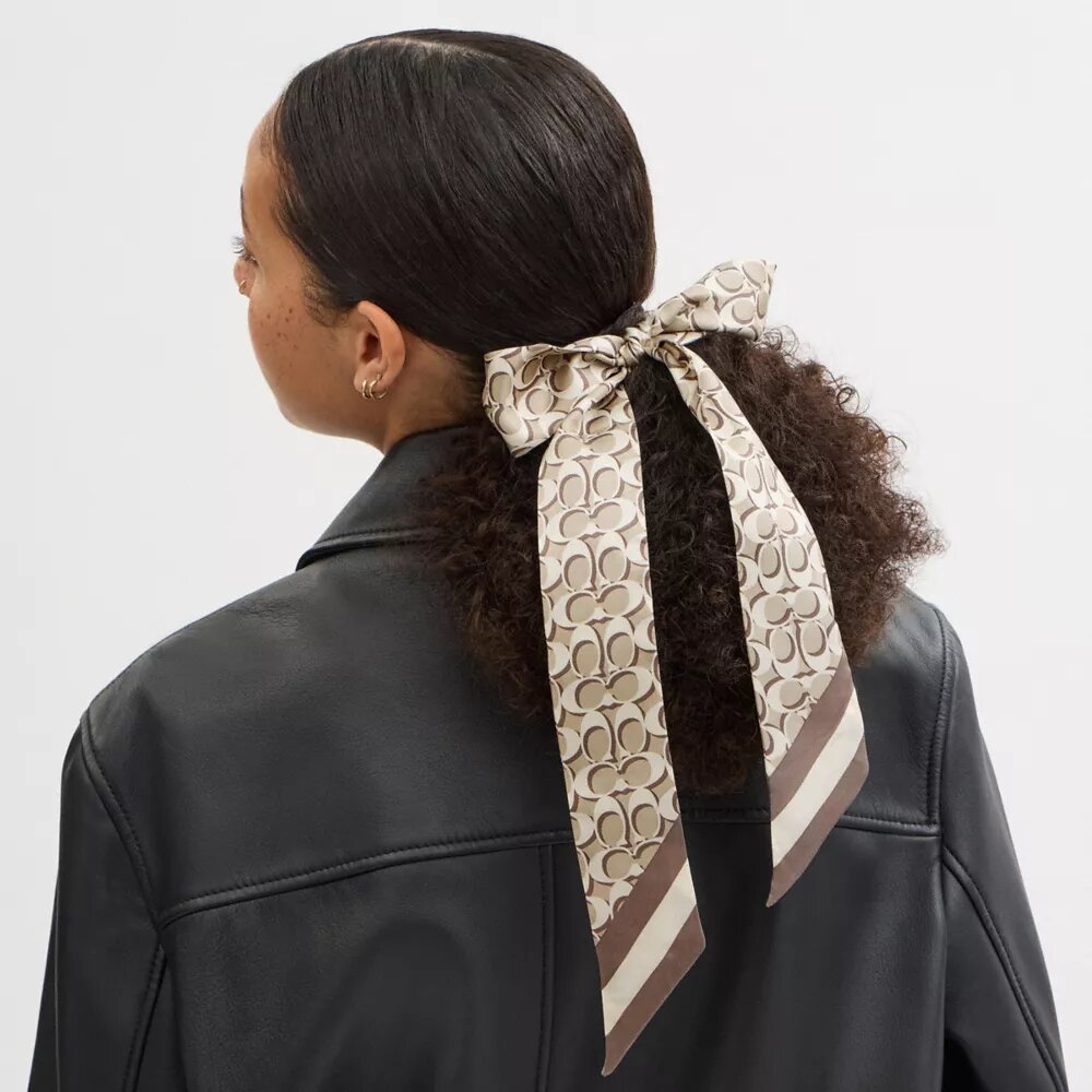 Signature Print Silk Skinny Scarf