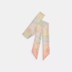 Signature Rainbow Print Silk Skinny Scarf