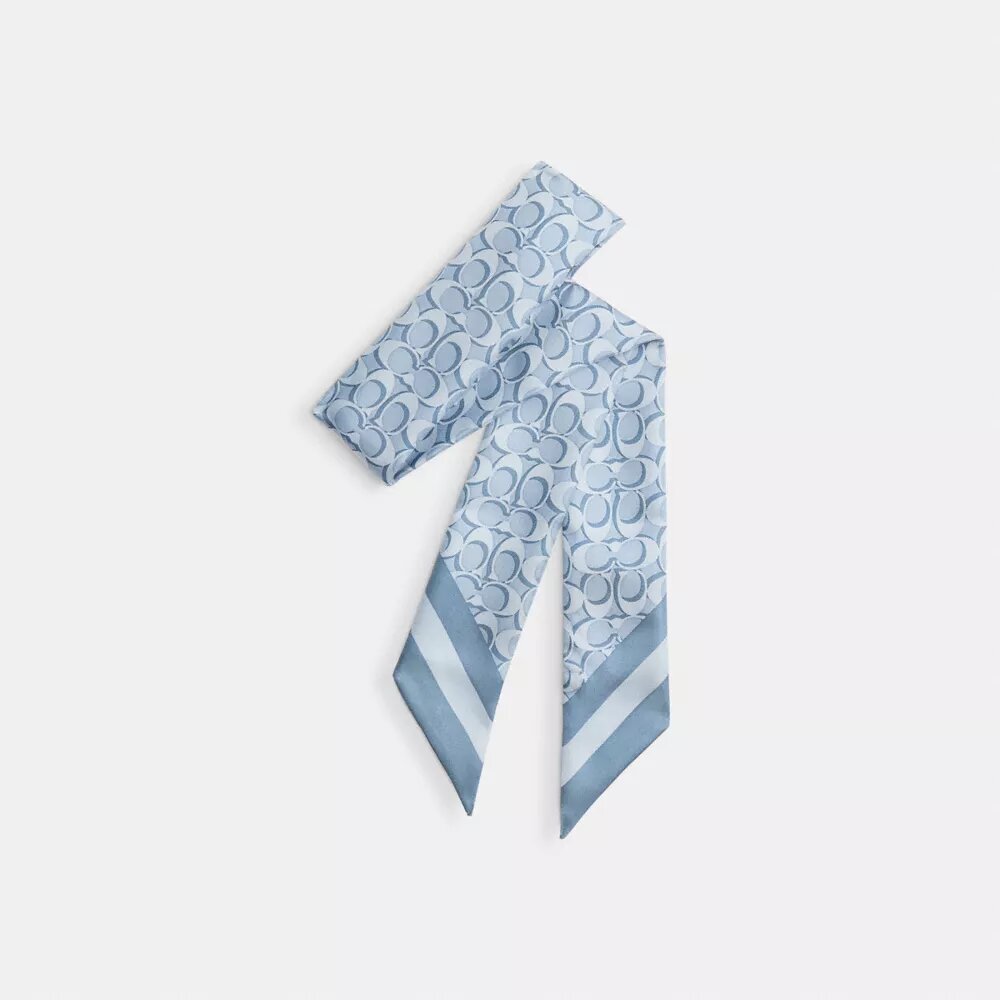 Signature Silk Skinny Scarf