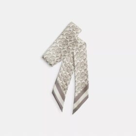 Signature Silk Skinny Scarf