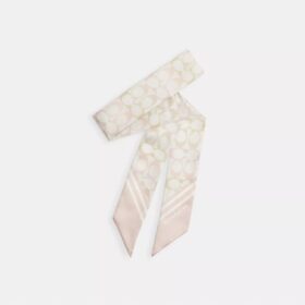 Signature Silk Skinny Scarf