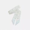 Signature Silk Skinny Scarf