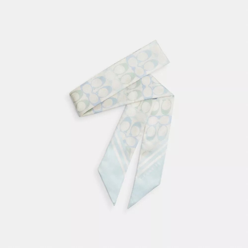 Signature Silk Skinny Scarf