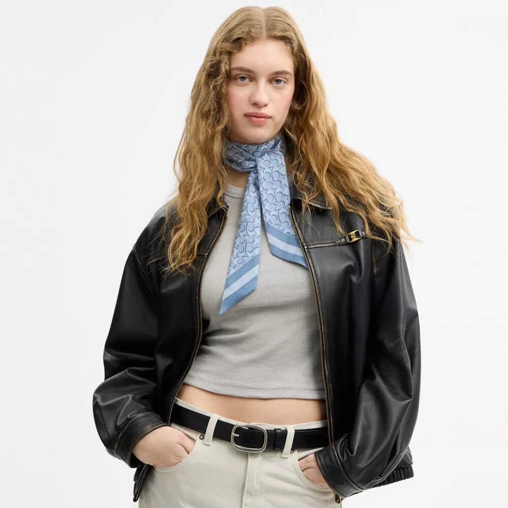 Signature Silk Skinny Scarf