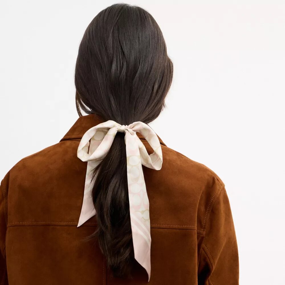 Signature Silk Skinny Scarf