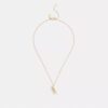 Skeletal Rexy Pendant Necklace