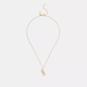 Skeletal Rexy Pendant Necklace