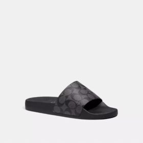 Slide in Signature Canvas