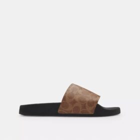 Slide in Signature Canvas