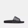 Slide in Signature Canvas