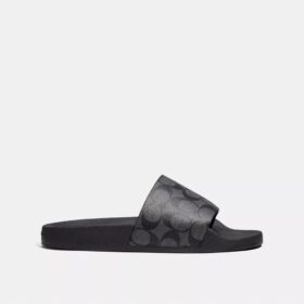 Slide in Signature Canvas