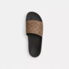 Slide in Signature Canvas