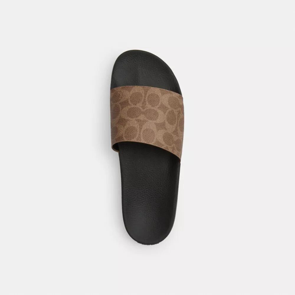 Slide in Signature Canvas