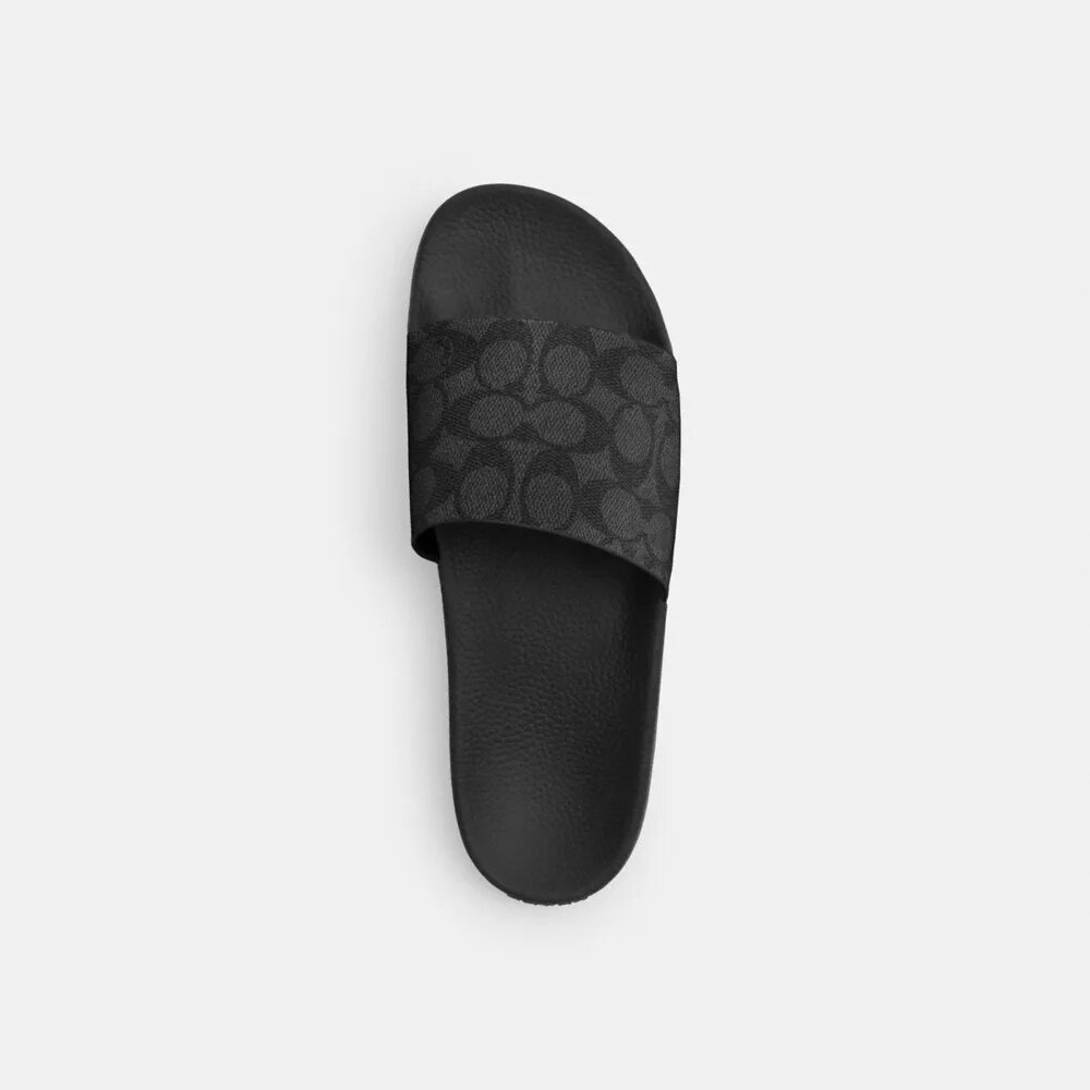Slide in Signature Canvas