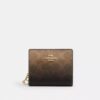 Snap Wallet in Ombre Signature Canvas