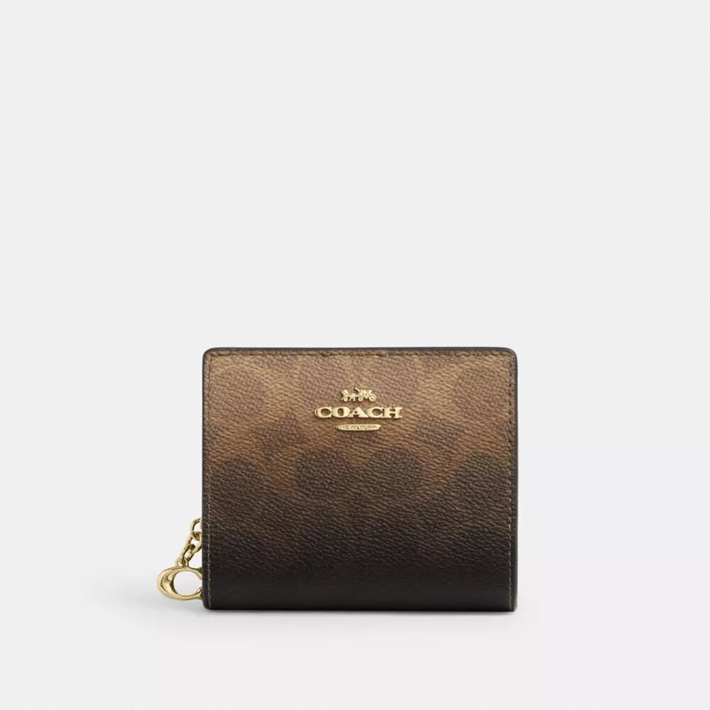 Snap Wallet in Ombre Signature Canvas