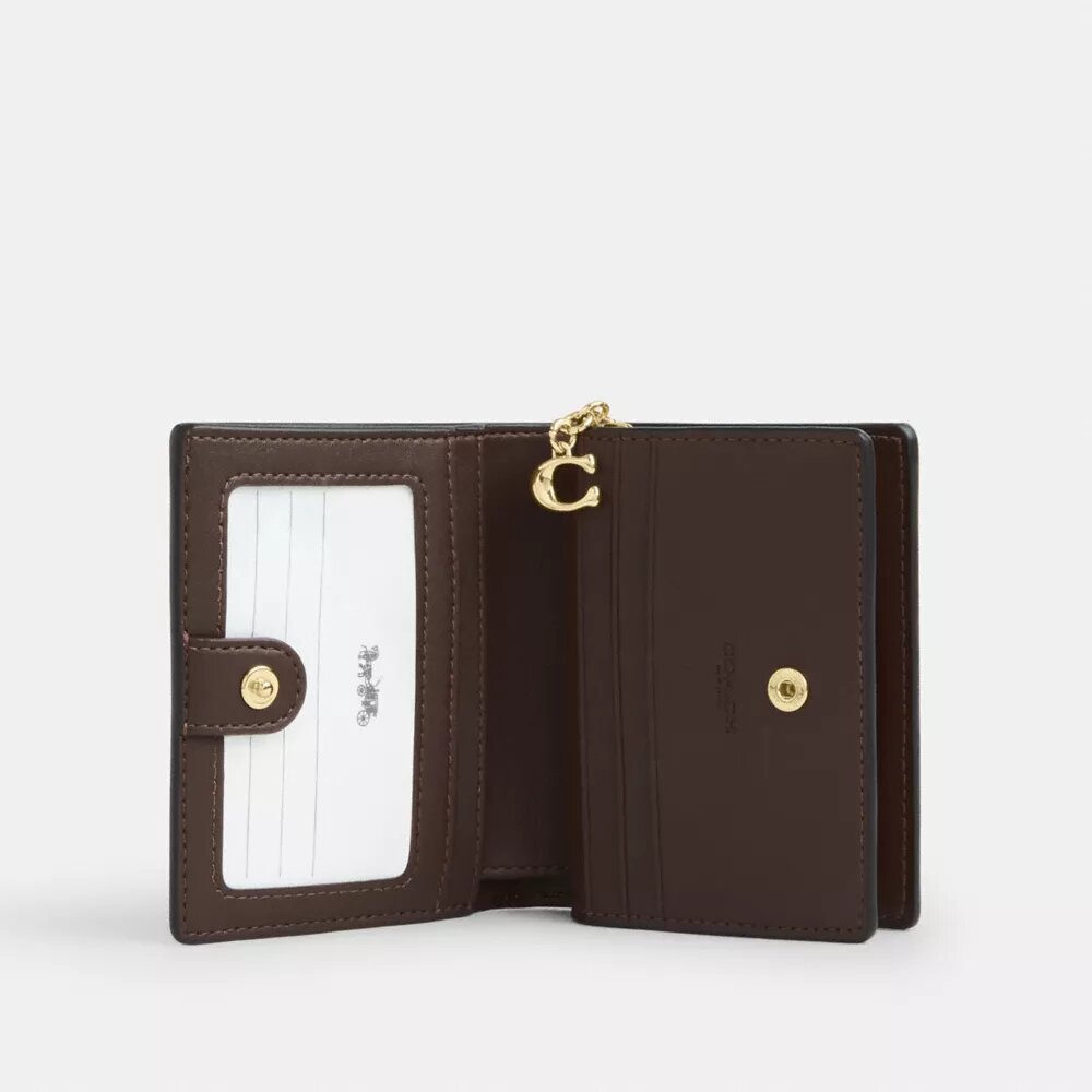Snap Wallet in Ombre Signature Canvas
