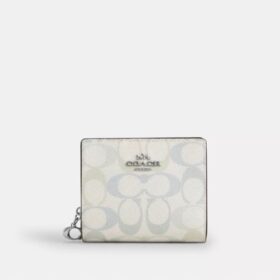 Snap Wallet in Signature Canvas