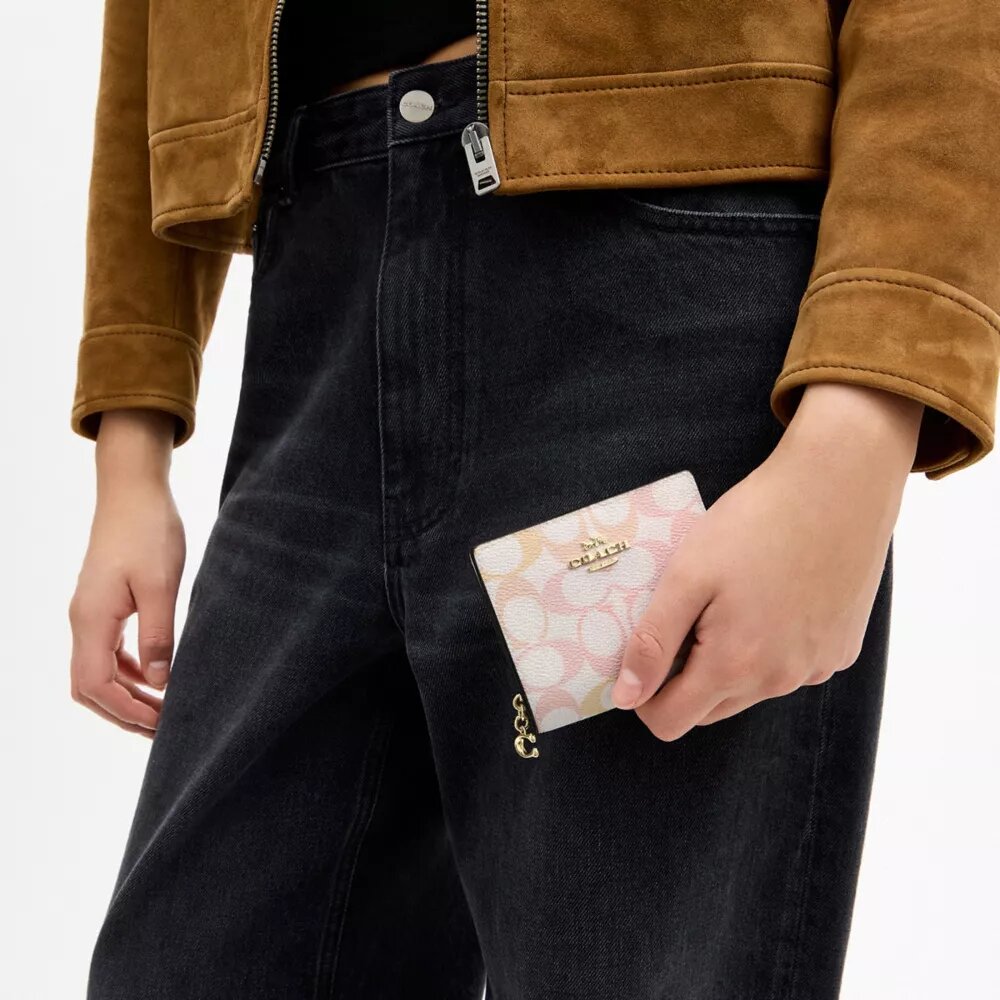 Snap Wallet in Signature Canvas