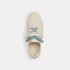 Soft Sneaker
