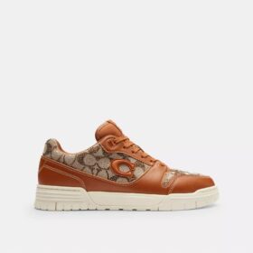 Soho Sneaker with Crystal Signature Jacquard